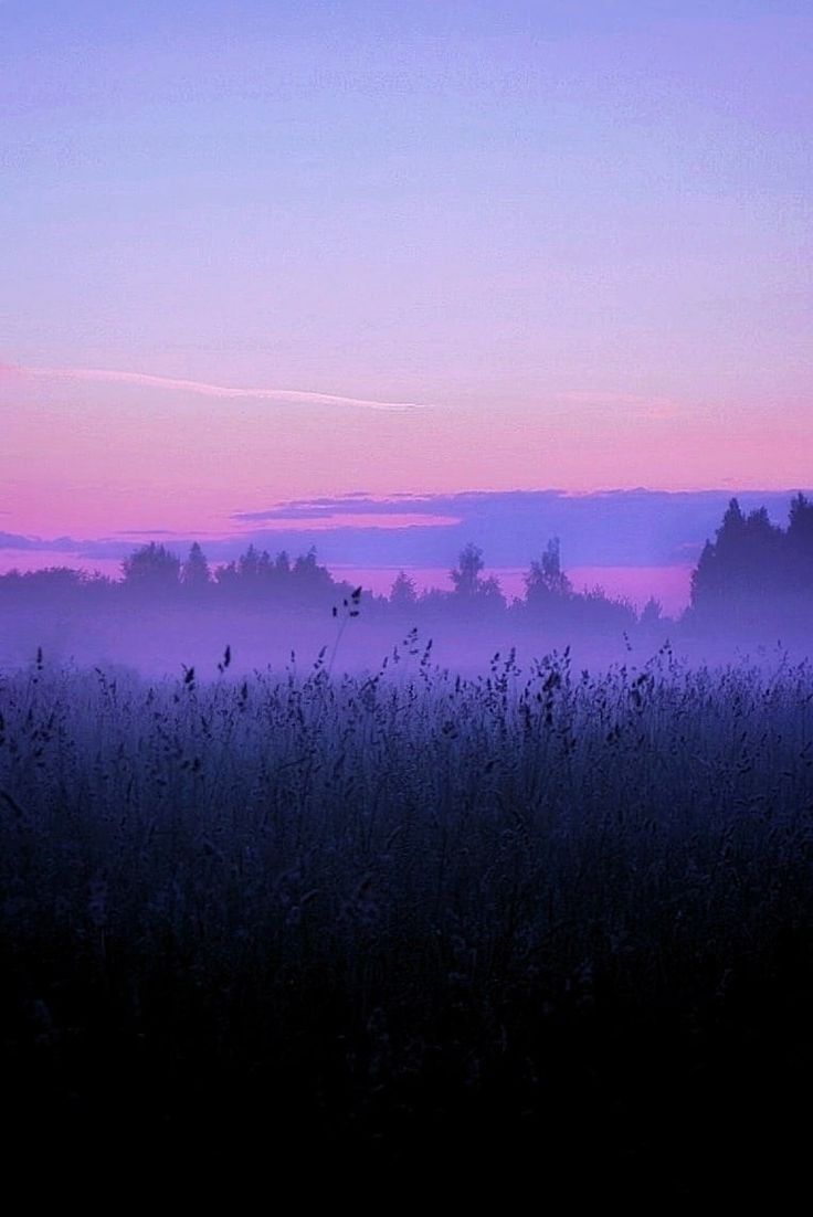 Violet Whispers
